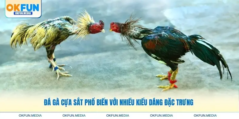 da-ga-cua-sat-pho-bien