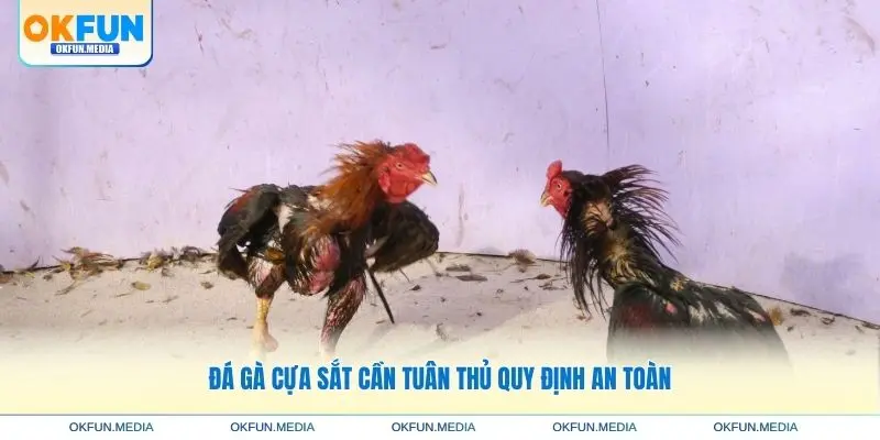 da-ga-cua-sat-quy-dinh-an-toan